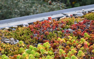 the cost of Amulree green roof installation